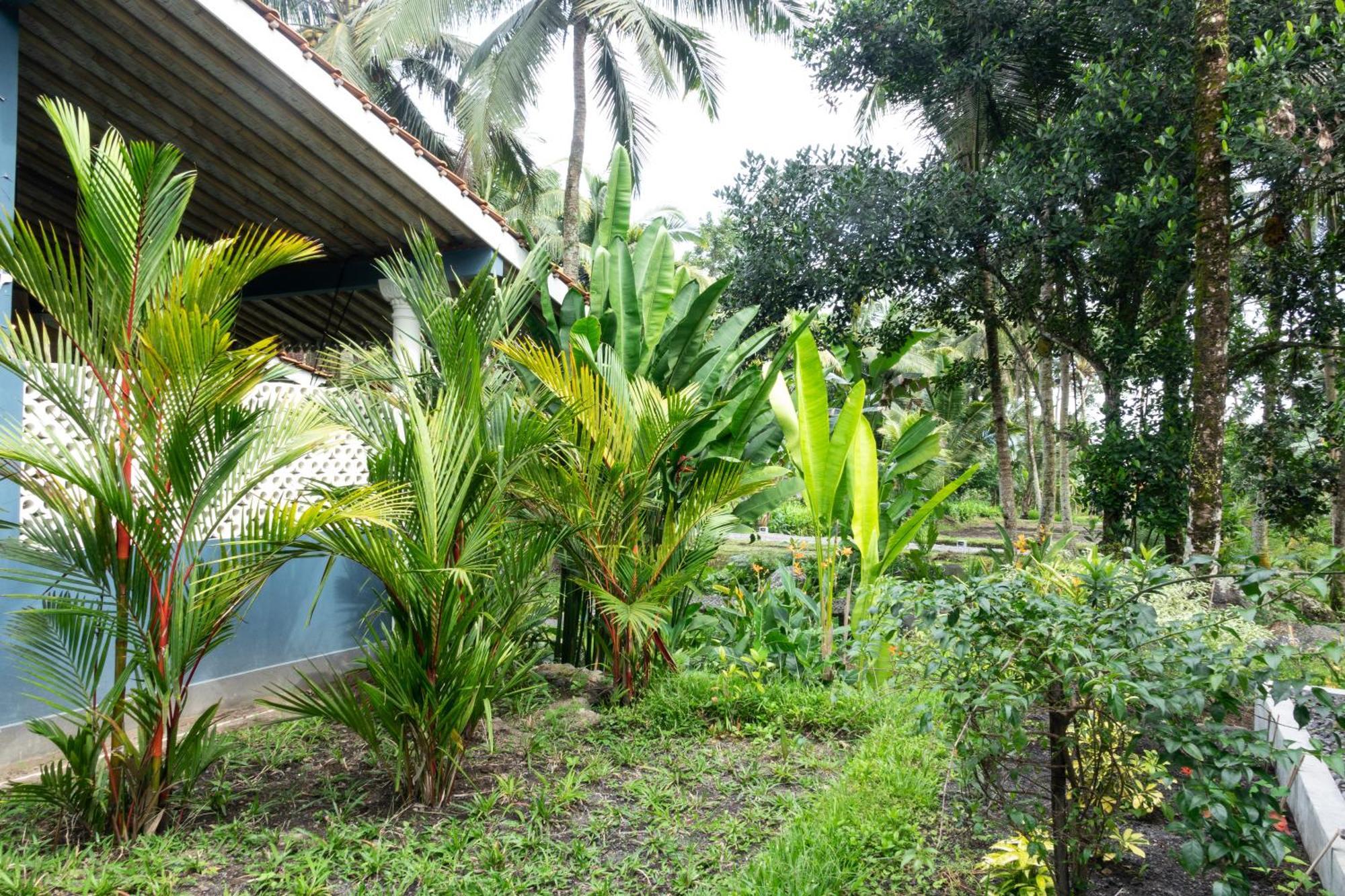 Darmada Eco Resort Sidemen  Luaran gambar